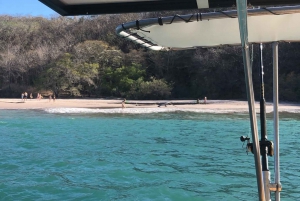 Tamarindo: Dream Chaser Catamaran Sunset Cruise