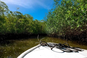 Tamarindo: rejs łodzią po ujściu rzeki