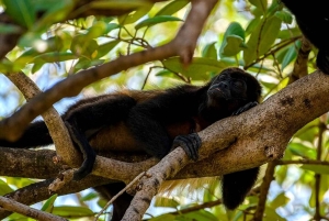 Tamarindo: rejs łodzią po ujściu rzeki