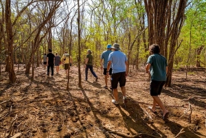 Tamarindo: rejs łodzią po ujściu rzeki