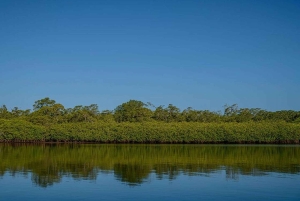 Tamarindo: rejs łodzią po ujściu rzeki