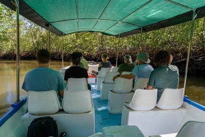 Tamarindo: rejs łodzią po ujściu rzeki