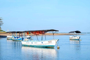 Tamarindo: rejs łodzią po ujściu rzeki