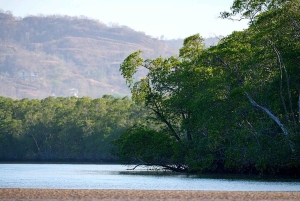 Tamarindo: rejs łodzią po ujściu rzeki