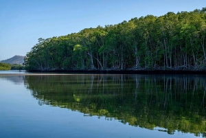 Tamarindo: rejs łodzią po ujściu rzeki