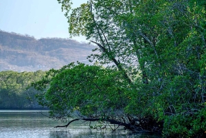 Tamarindo: rejs łodzią po ujściu rzeki