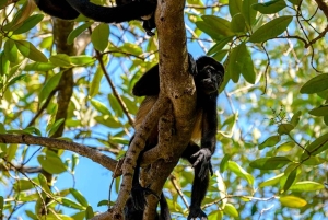 Tamarindo: rejs łodzią po ujściu rzeki