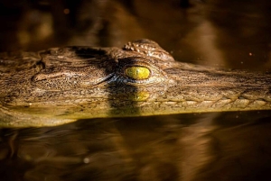 Tamarindo: rejs łodzią po ujściu rzeki