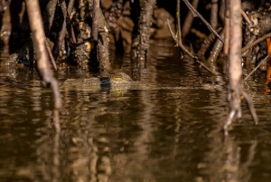 Tamarindo: rejs łodzią po ujściu rzeki