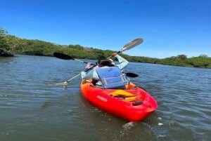 Estero de Tamarindo: esplora in barca o kayak - scegli il tuo tour!
