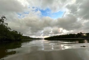 Estero de Tamarindo: esplora in barca o kayak - scegli il tuo tour!