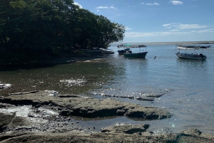 Estero de Tamarindo : Explorez en bateau ou en kayak - Veuillez choisir votre excursion !