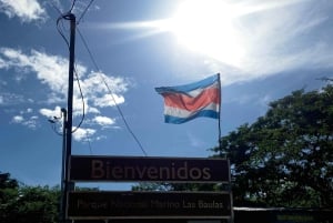 Estero de Tamarindo : Explorez en bateau ou en kayak - Veuillez choisir votre excursion !