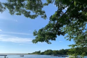 Estero de Tamarindo : Explorez en bateau ou en kayak - Veuillez choisir votre excursion !