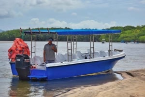 Tamarindo: Tamarindo Estuary Boat Tour with Naturalist Guide