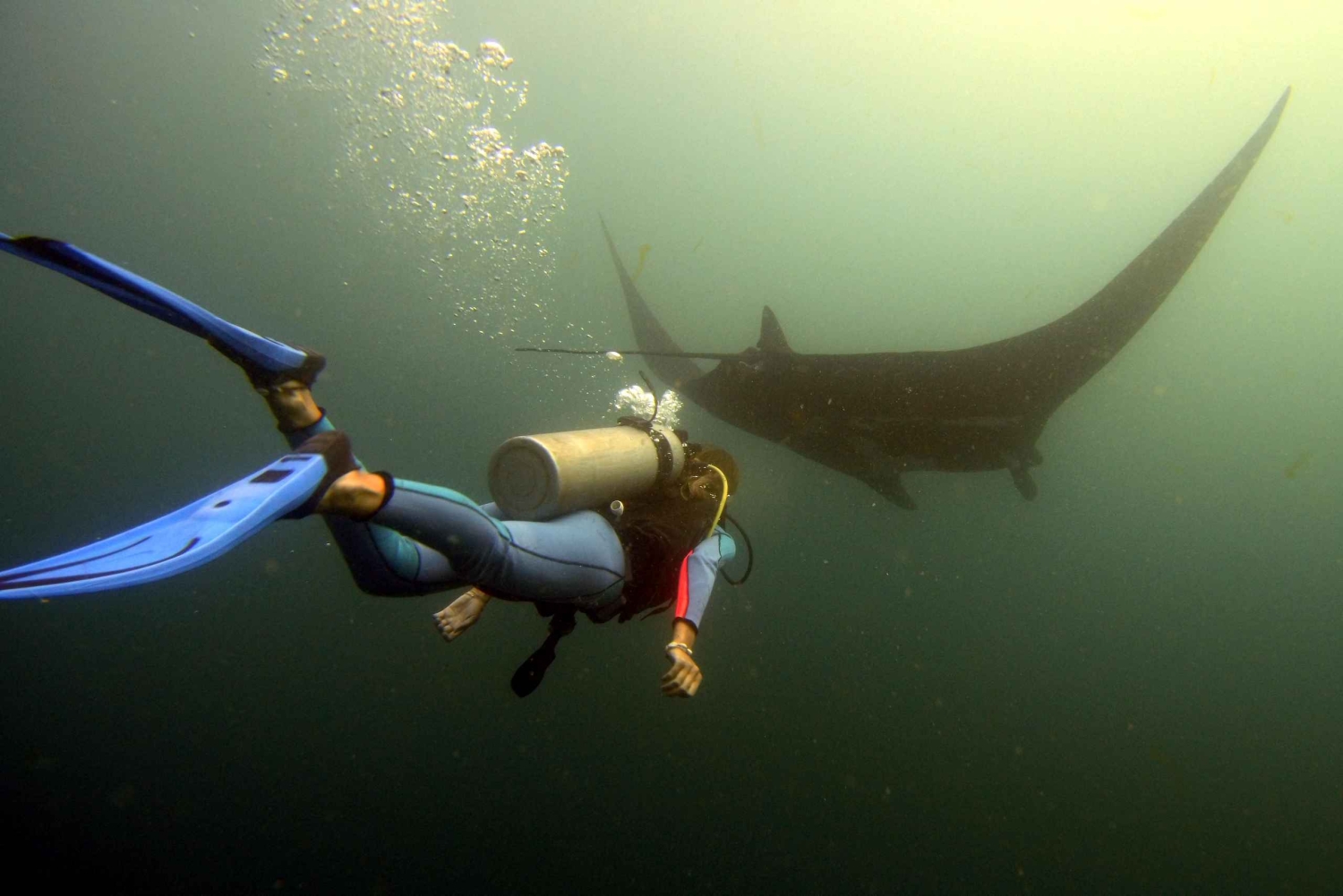 Tamarindo:Fun dives at Catalina islands for certified divers