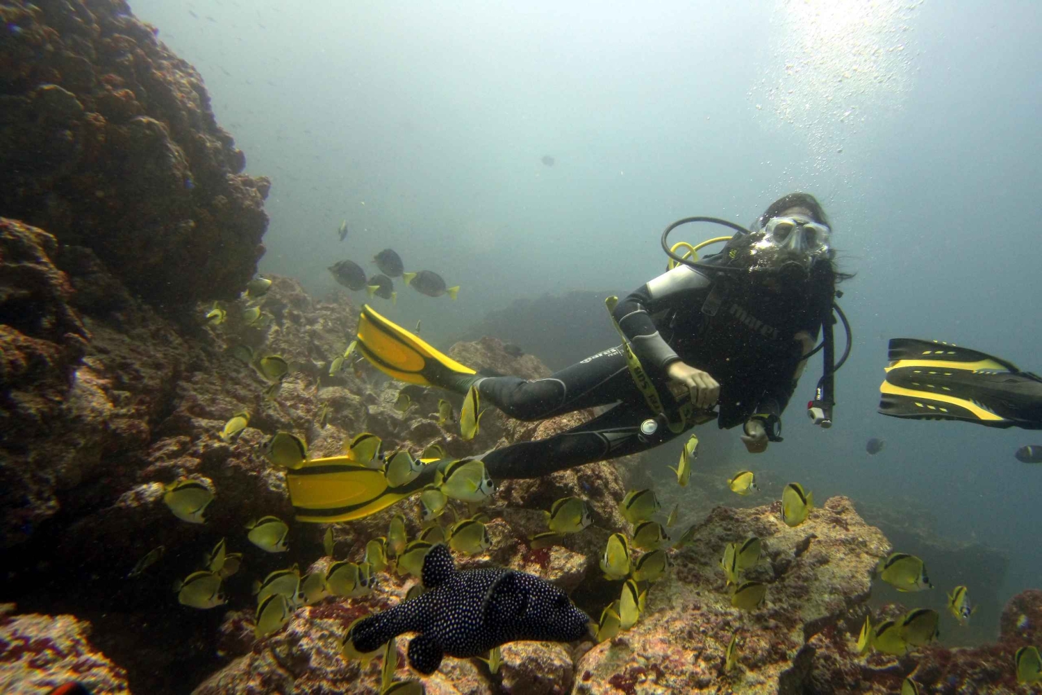 Tamarindo:Fun dives at Catalina islands for certified divers