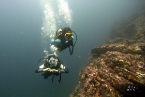 Tamarindo:Fun dives at Catalina islands for certified divers