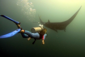 Tamarindo:Fun dives at Catalina islands for certified divers