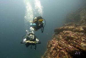 Tamarindo:Fun dives at Catalina islands for certified divers
