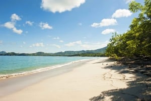 Tamarindo: A Caballo hasta Playa Conchal Guanacaste, Costa Rica