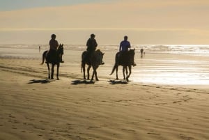 Tamarindo: A Caballo hasta Playa Conchal Guanacaste, Costa Rica
