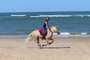 Tamarindo: A Caballo hasta Playa Conchal Guanacaste, Costa Rica