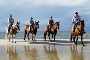 Tamarindo: A Caballo hasta Playa Conchal Guanacaste, Costa Rica