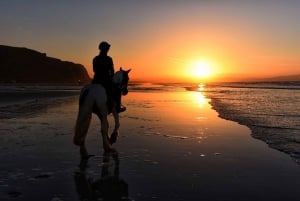 Tamarindo: Hästridning till Tamarindo Beach - Guanacaste, CR