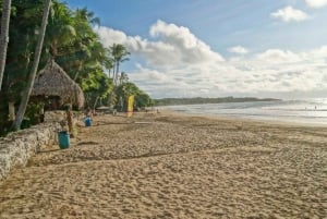 Tamarindo: Hästridning till Tamarindo Beach - Guanacaste, CR
