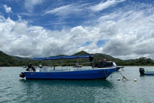 Тамариндо: полудневная экскурсия с подводным плаванием на острова Лас-Каталинас