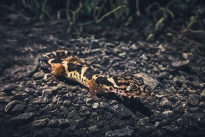 Ночная прогулка по Тамариндо