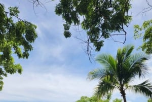 Playa Flamingo: jazda konna po plaży