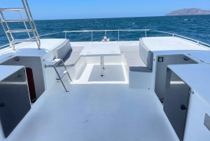 Tamarindo: tour privato mattutino in catamarano con snorkeling