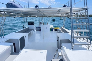 Tamarindo: tour privato mattutino in catamarano con snorkeling