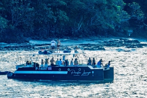 Tamarindo: tour privato mattutino in catamarano con snorkeling