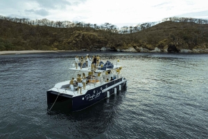 Tamarindo: tour privato mattutino in catamarano con snorkeling
