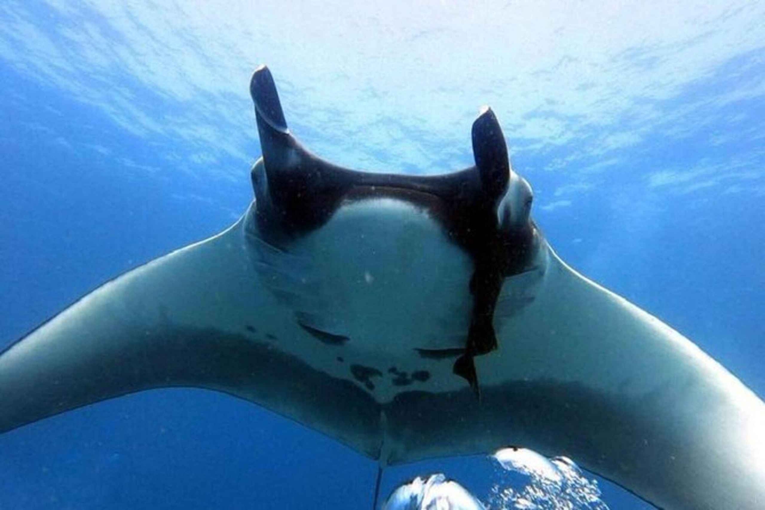 Tamarindo: Privé snorkelboot Charter Guanacaste