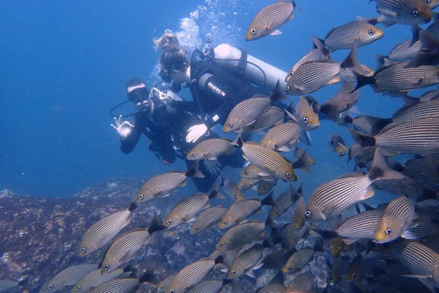 Tamarindo: Privé snorkelboot Charter Guanacaste