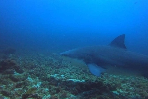 Tamarindo: Privé snorkelboot Charter Guanacaste