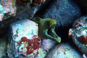 Tamarindo: Privé snorkelboot Charter Guanacaste