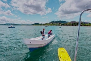 Tamarindo: Offentlig katamaranseiling og snorkling