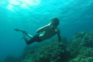 Tamarindo: Excursão de mergulho com snorkel no mar