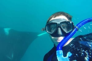 Tamarindo: Excursão de mergulho com snorkel no mar