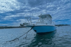 Tamarindo : Privat-Charter zum Sportfischen