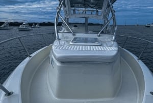 Tamarindo : Privat-Charter zum Sportfischen