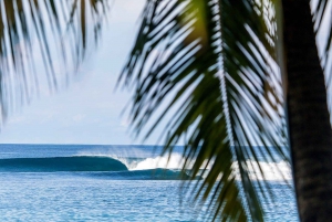 Tamarindo Surf: Lær og øv dig i surfing i Tamarindo
