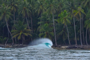 Tamarindo Surf: Lær og øv dig i surfing i Tamarindo