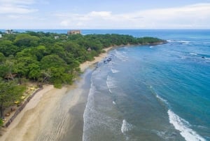 Tamarindo: Schildpaddentocht Tamarindo, Guanacaste, CR