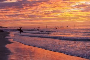 Tamarindo, Guanacaste Tur med sköldpaddsboning Tamarindo, Guanacaste, CR